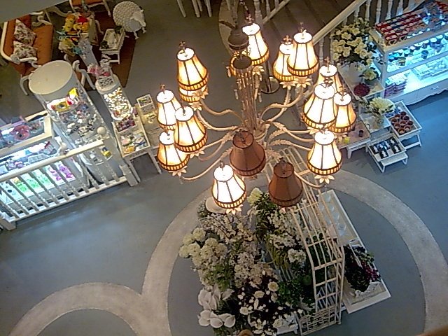 [pic026.jpg]