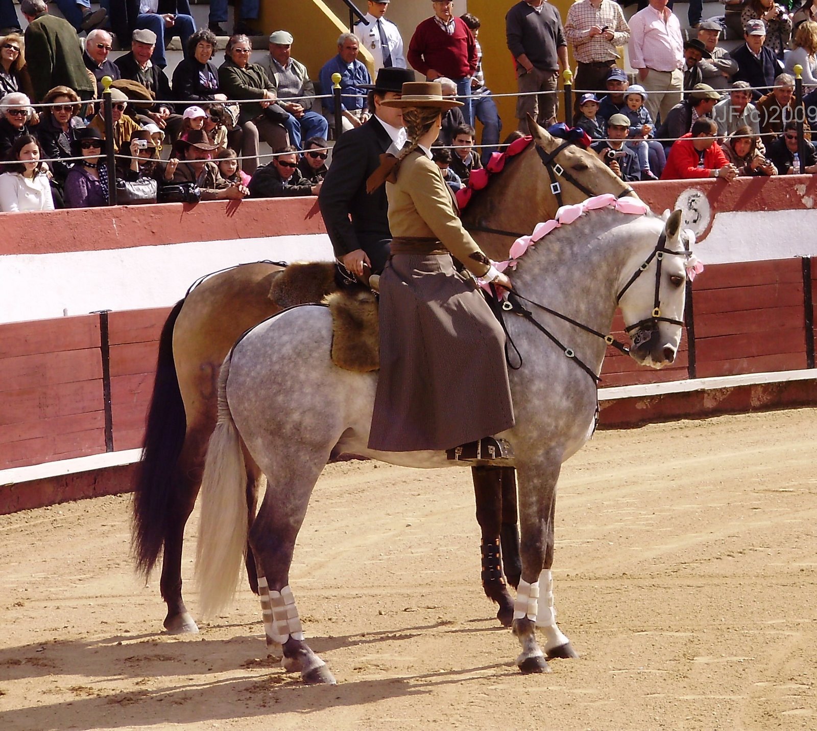 [Mega+Festival+(99).JPG]