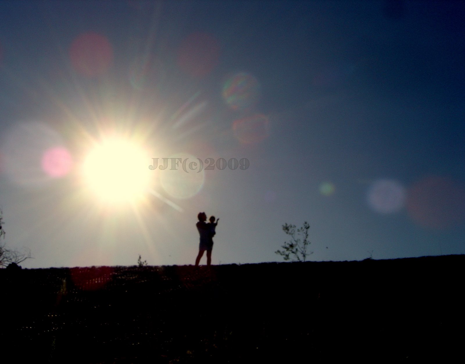 [DSC00295.JPG]
