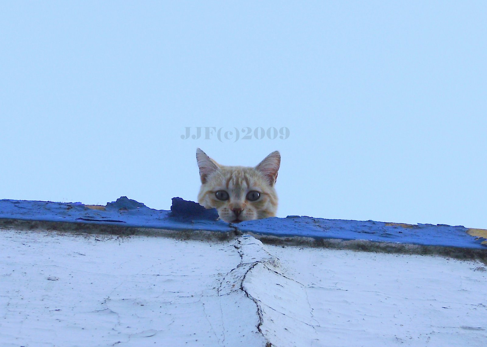 [P4060011.JPG]
