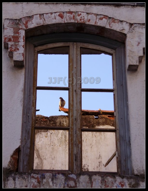 [Image1.jpg]
