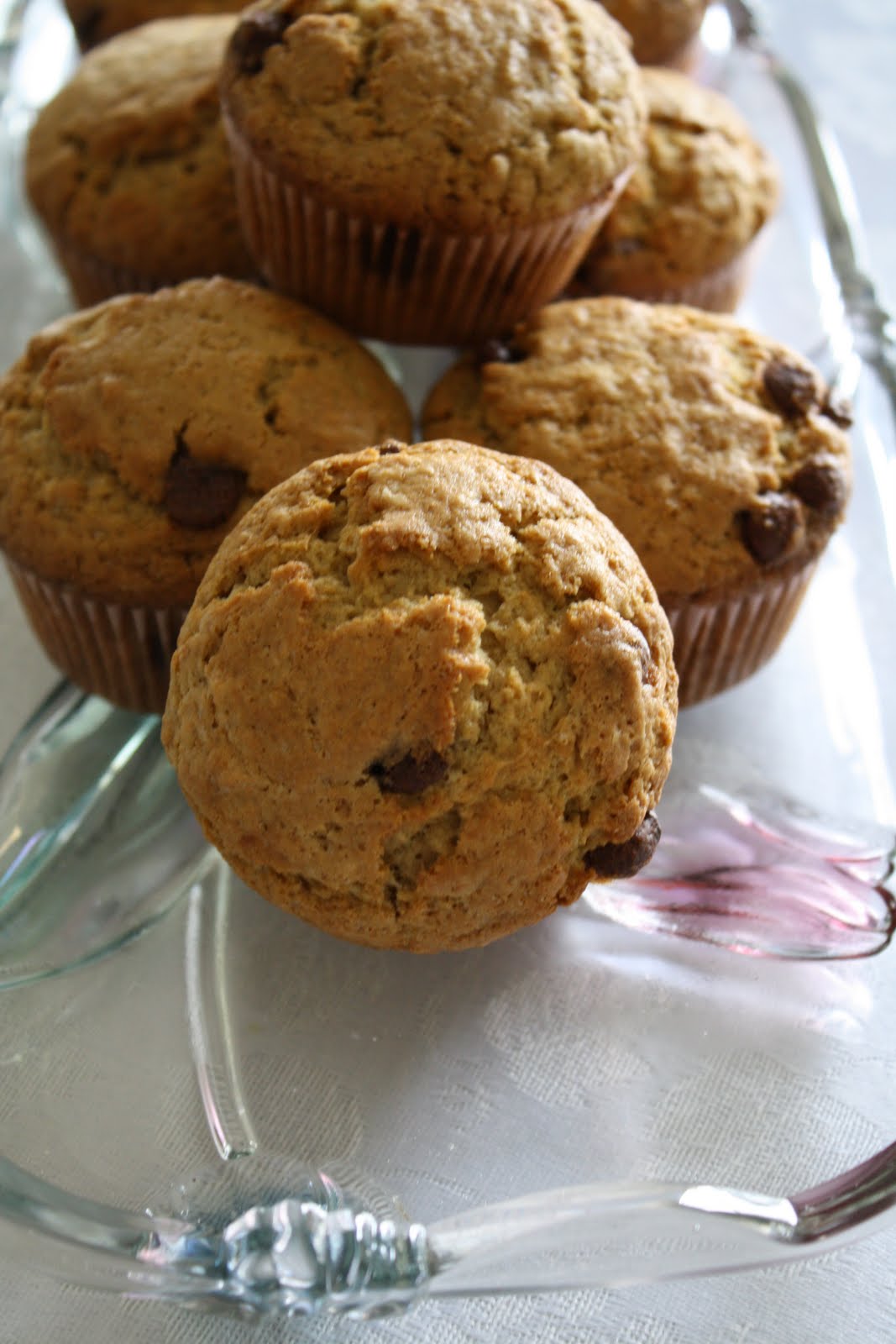 Versatile Vegetarian Kitchen Sourdough Chocolate Chip Muffins