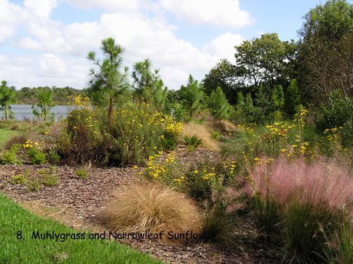 florida native plant society