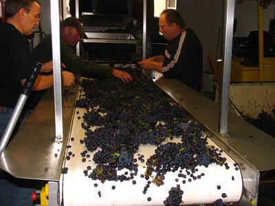 [SortingtableLCs.jpg]