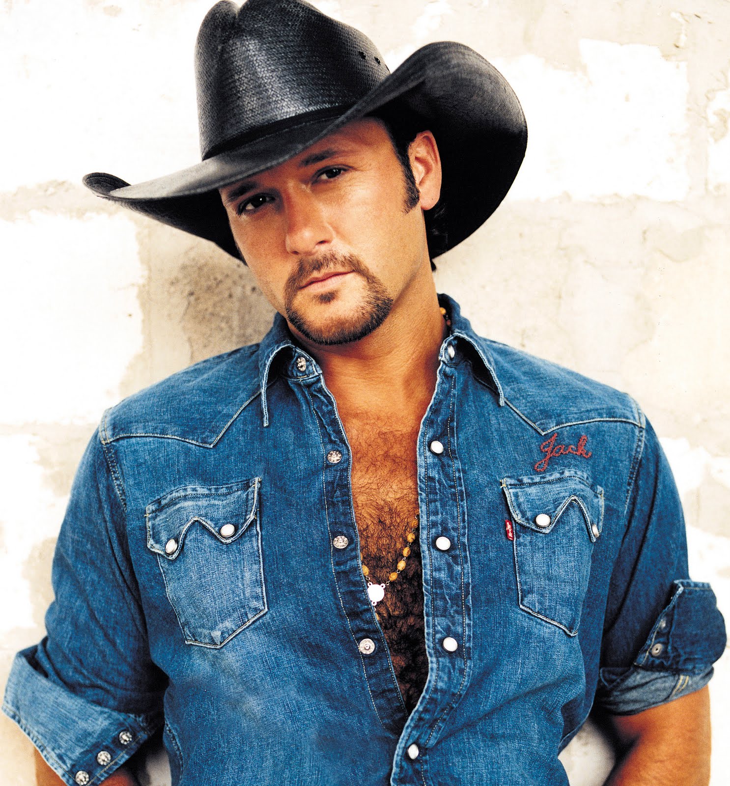 Male Celeb Fakes - Best of the Net: Tim McGraw American Country Singer