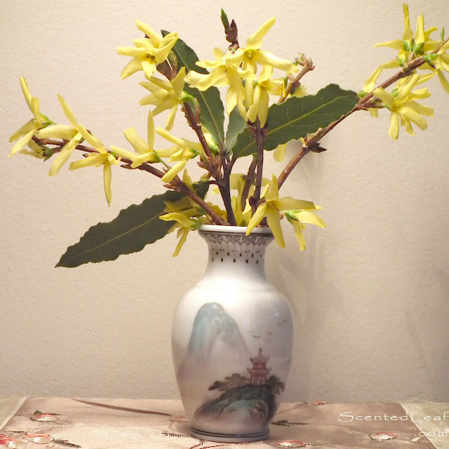 Forsythia flowers in miniature hand-painted Chinese vase Qianlong style