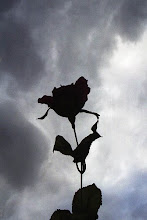 lONElY rOSE