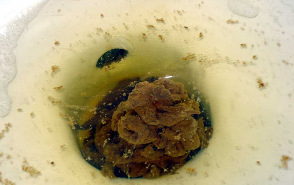 I Poo Daily Another poo ball?!