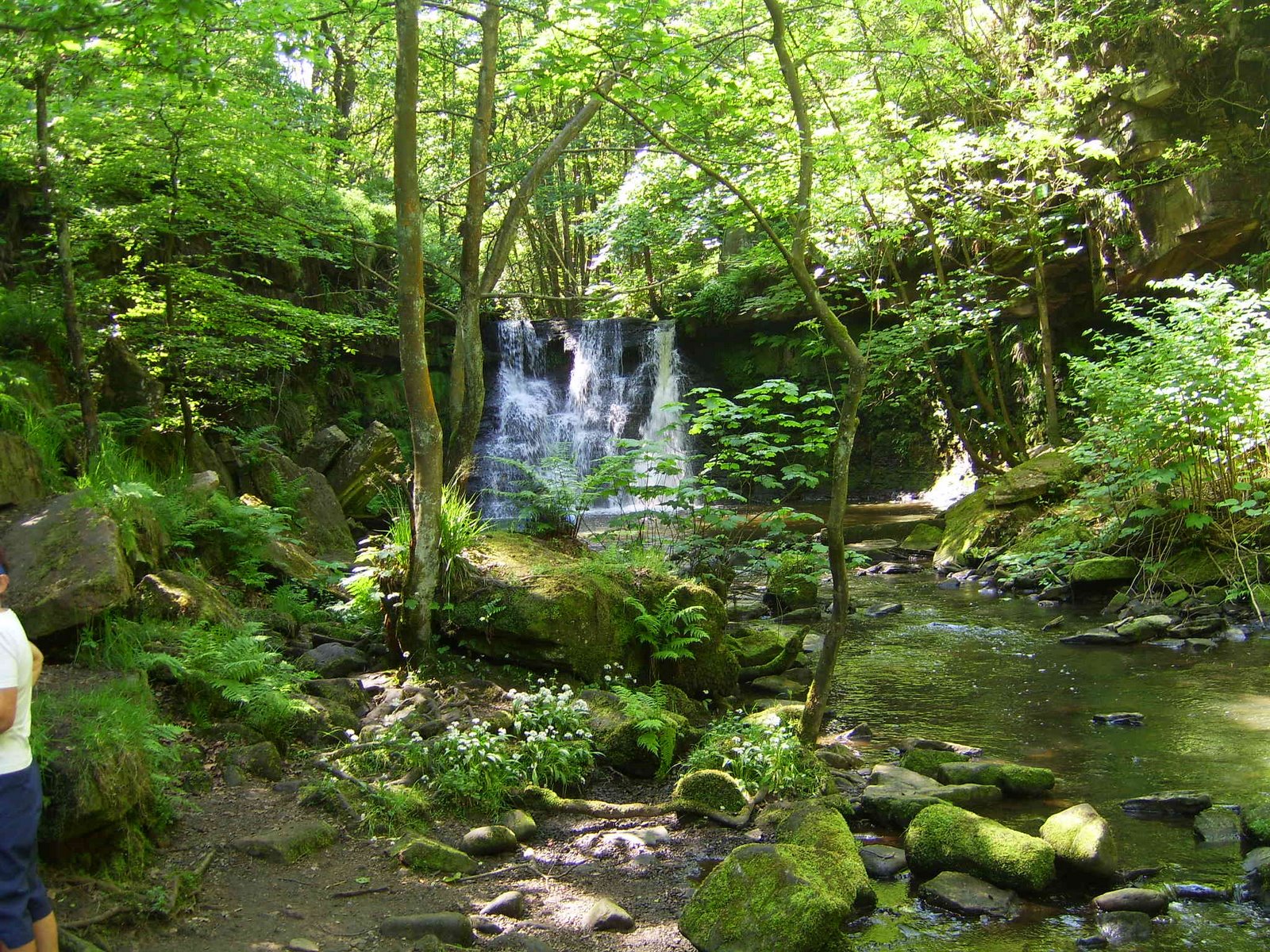 [SV103646.JPG]