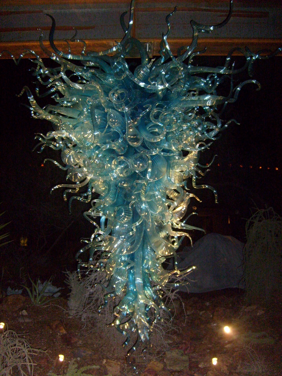 [S6302499.JPG]