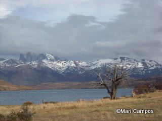 [DSCN0108.JPG]