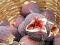 Figs from Roum, Shuf