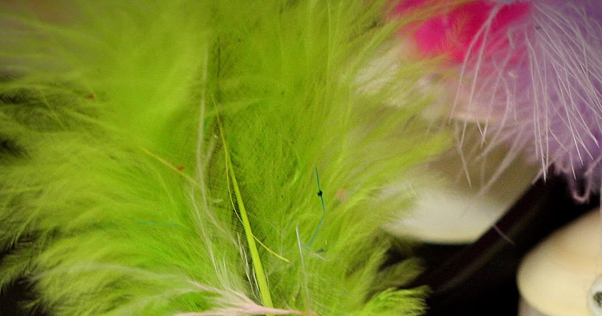 smART Class Pet Oyster