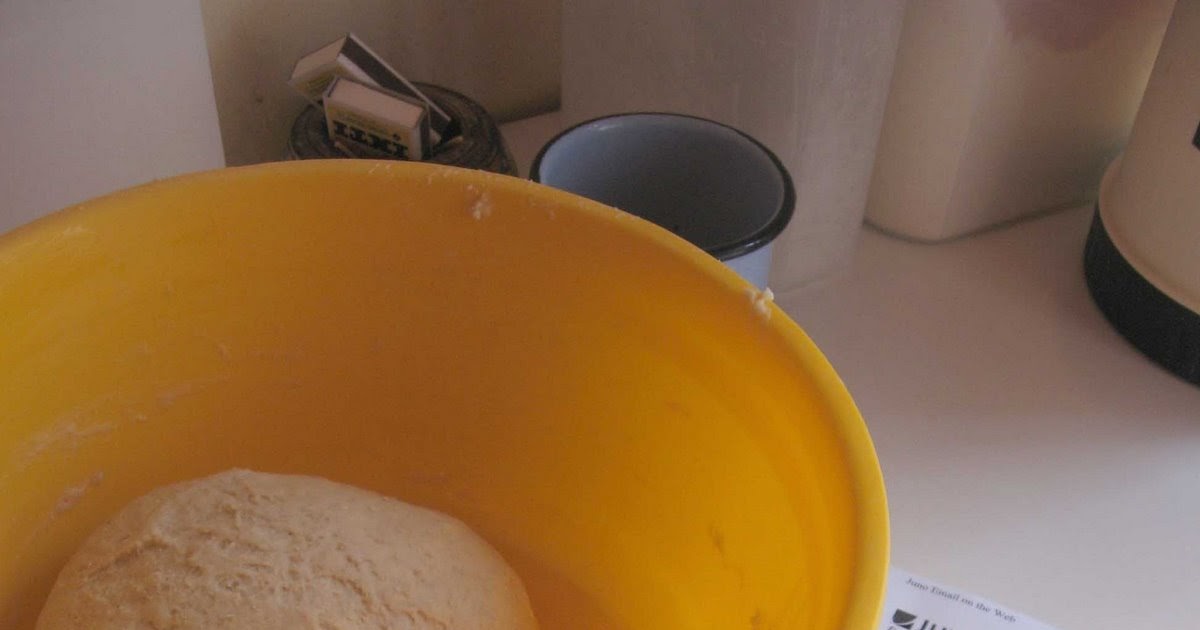 Songs of Joy Adventures in High Altitude Cooking Bagels!