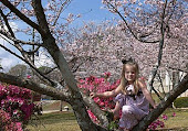 Sherry in the cherry blossoms