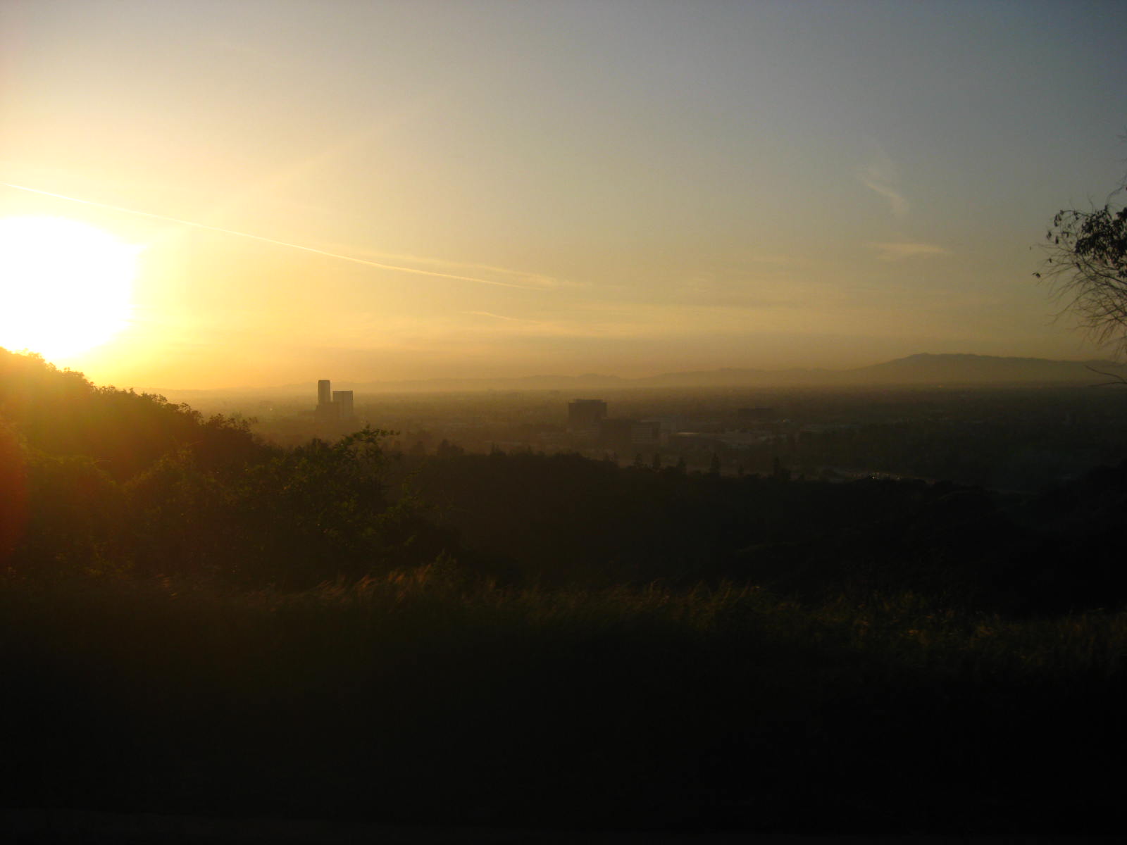 [IMG_8261.JPG]