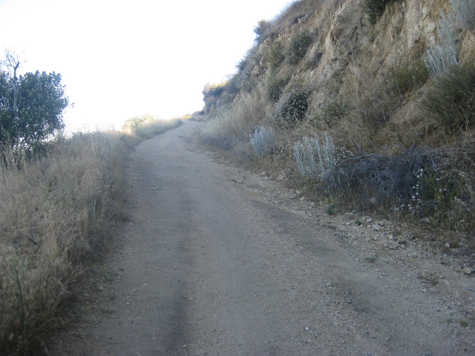 [IMG_1131.JPG]