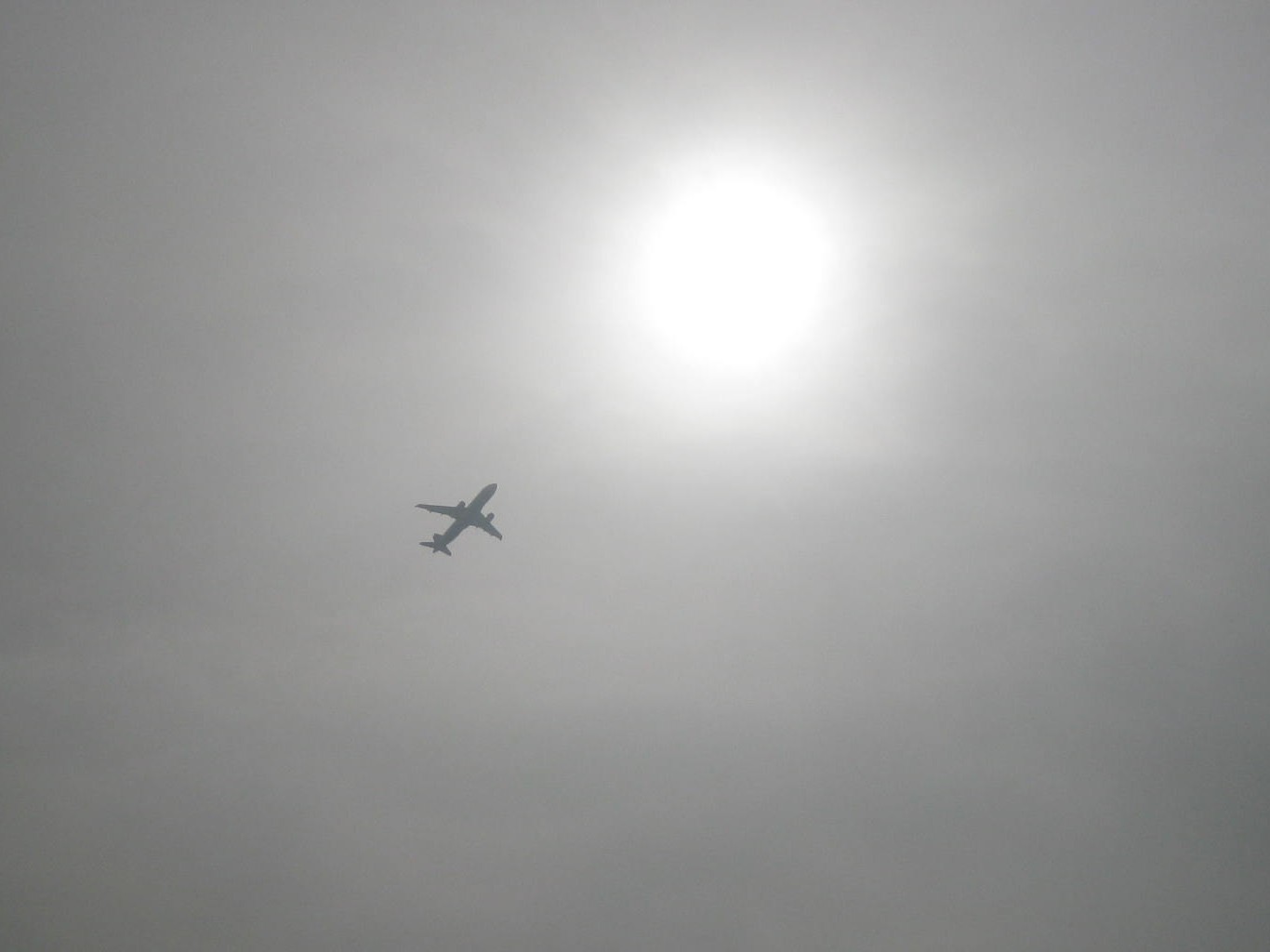 [plane.JPG]
