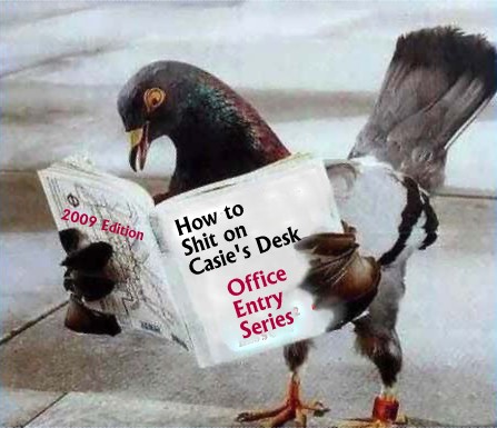[Pigeon.jpg]