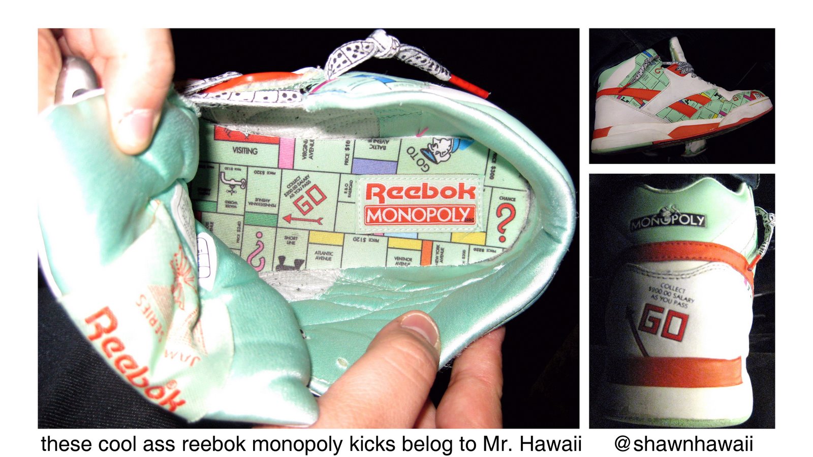 [hawaii+shoe.jpg]