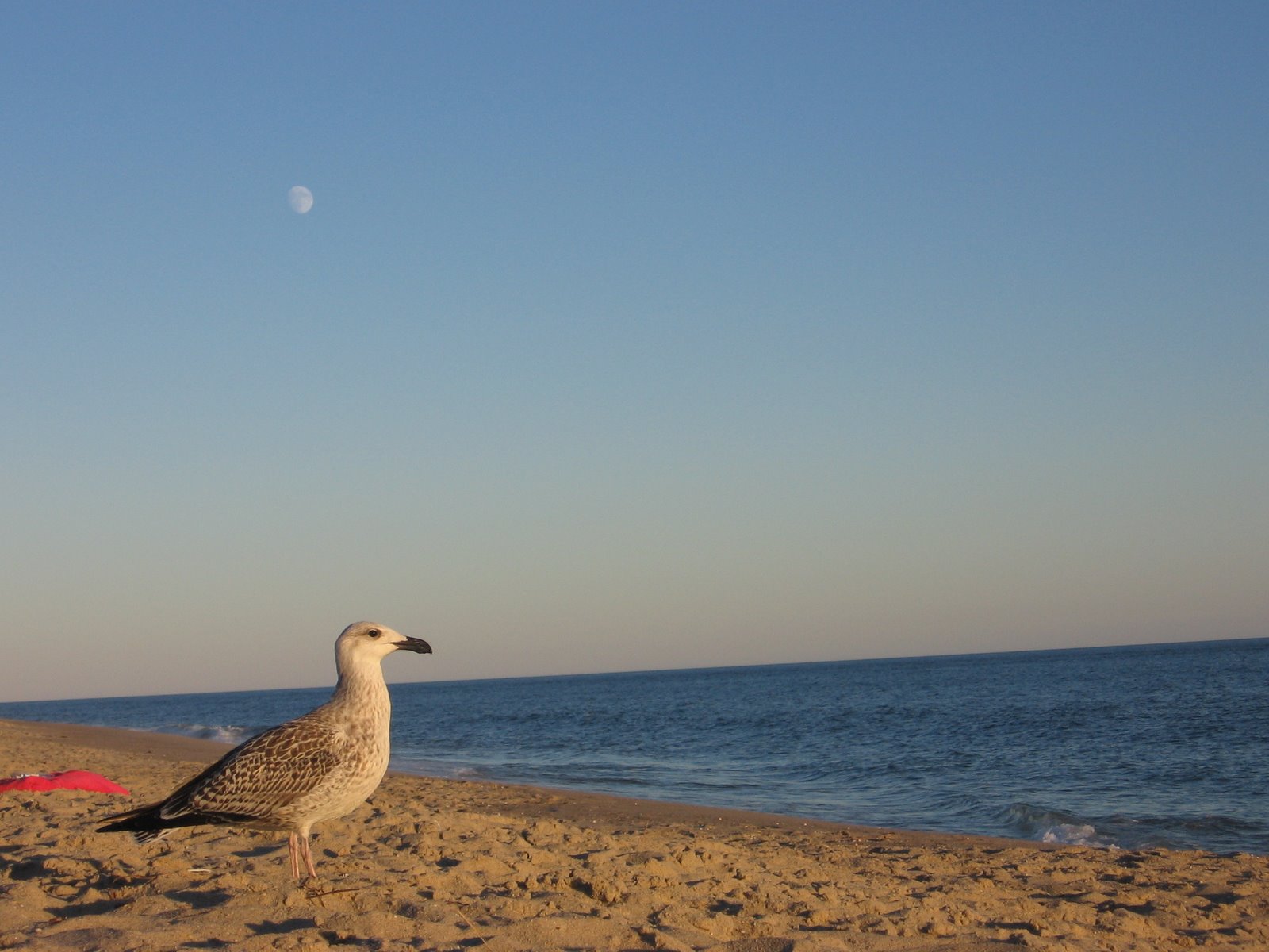 [IMG_9366.JPG]