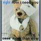 Hurt Teddy Bear