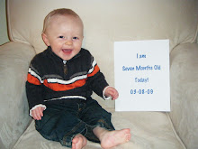 Seven Months