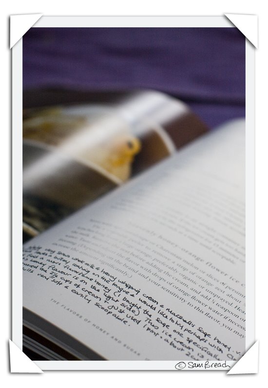 Napa Valley Naturals Organic Olive Oil Reviews Napa Valley Naturals Organic Olive Oil Reviews
