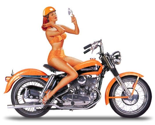 [pinup-016.JPG]