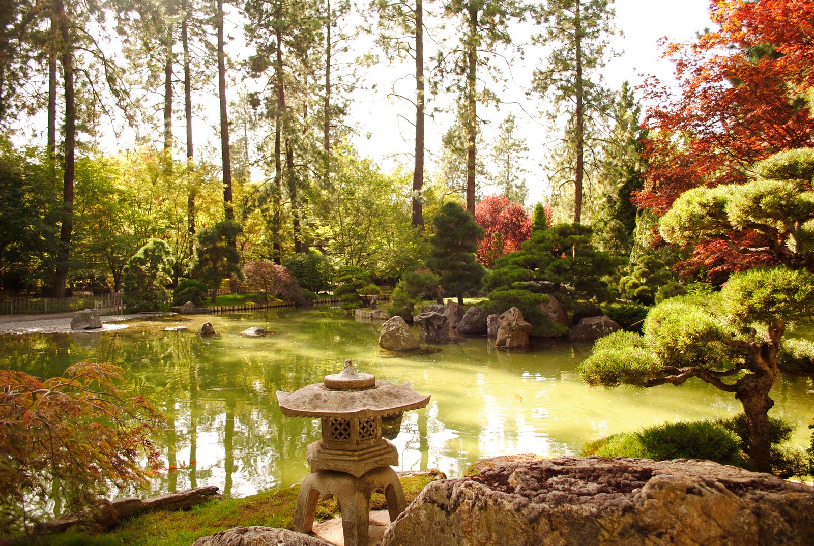 sarah studying sacred scriptures in spokane: beautiful manito park