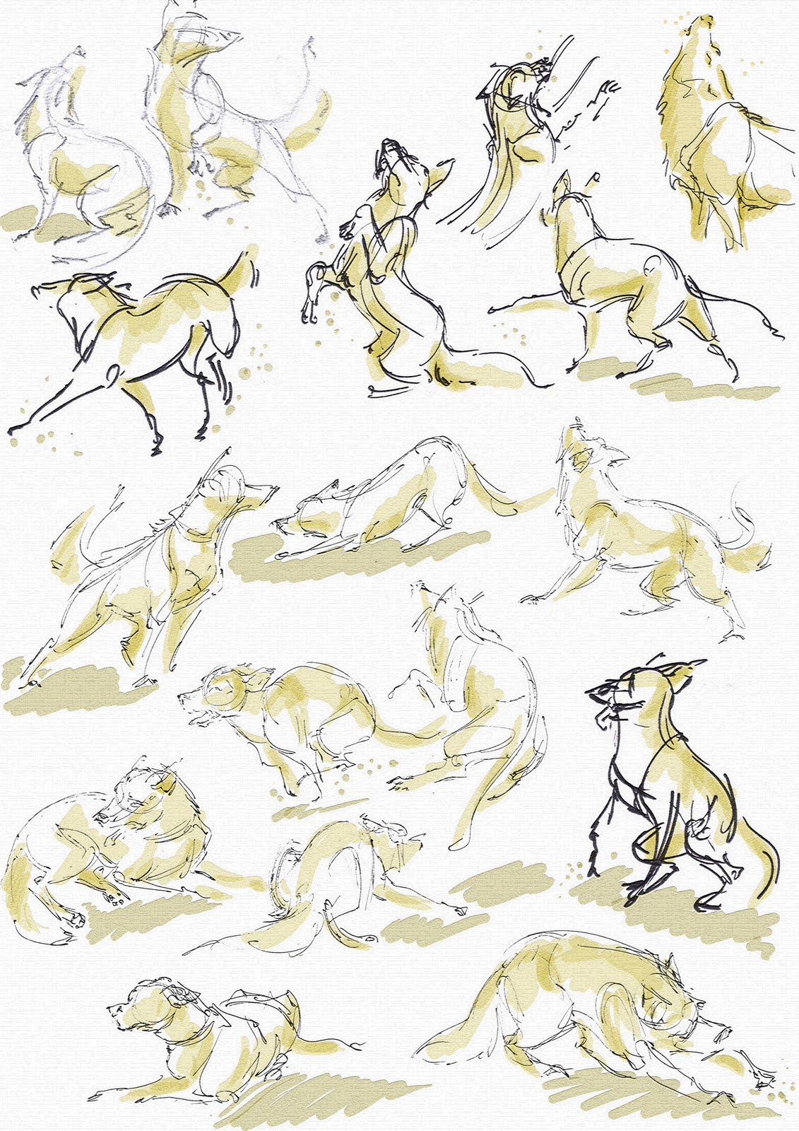 Tines Artblog: Quick Dog Sketches