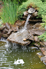 The Waterfall above the Koi Pond