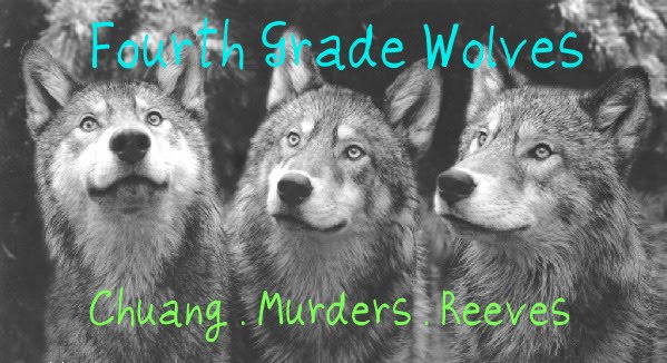 Fourth Grade Wolves