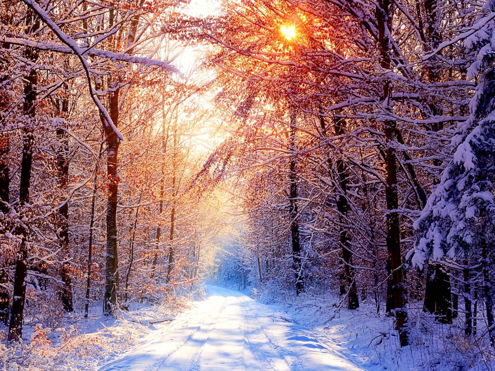 http://3.bp.blogspot.com/_RAlP3BmEW1Q/TQNtvGg9htI/AAAAAAAABdw/XaNyCkmS45I/s1600/Winter-achtergronden-winter-wallpapers-winter-landschappen-8.jpg