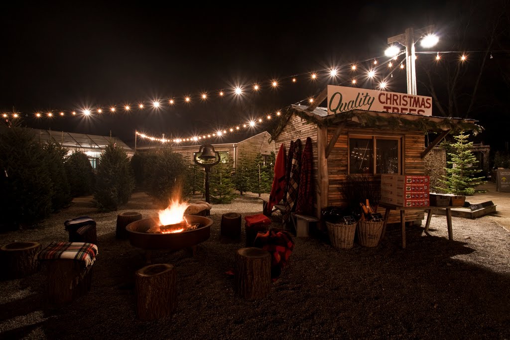 the little house in the city Terrain at Styer's Holiday Displays