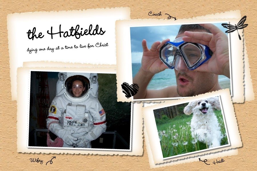 The~Hatfields