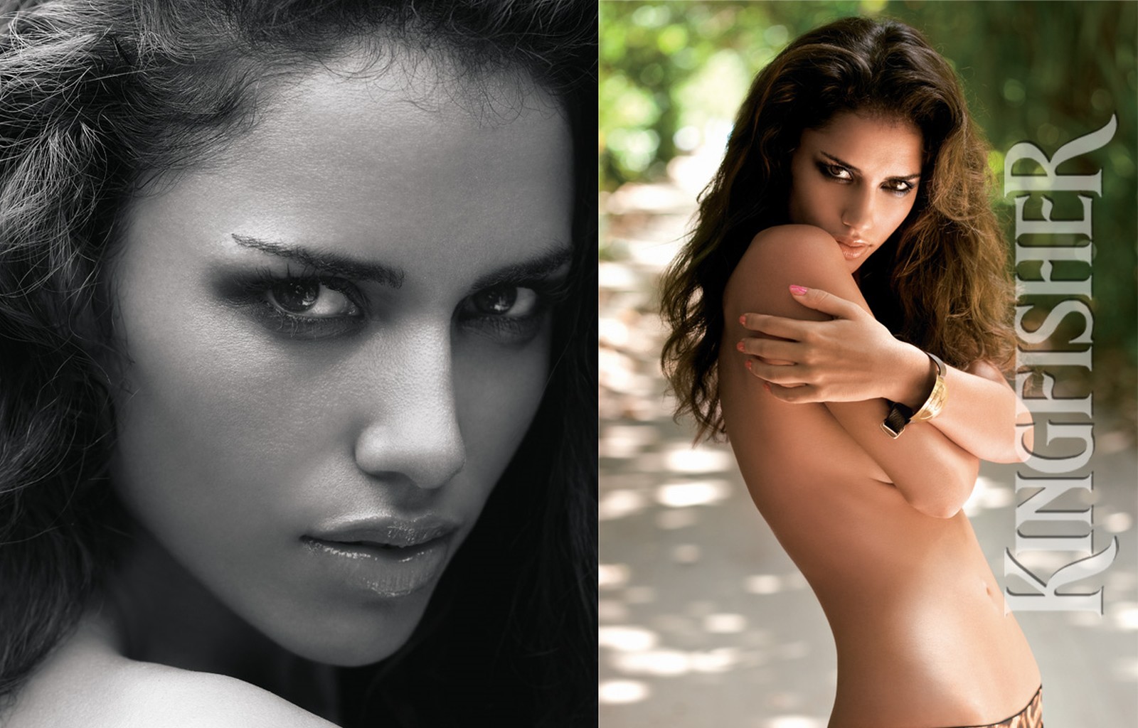 [kingfisher-calendar-2010-original-3.jpg]