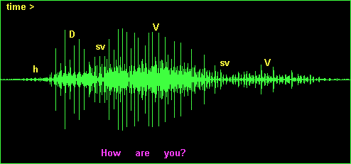 Speech Signal