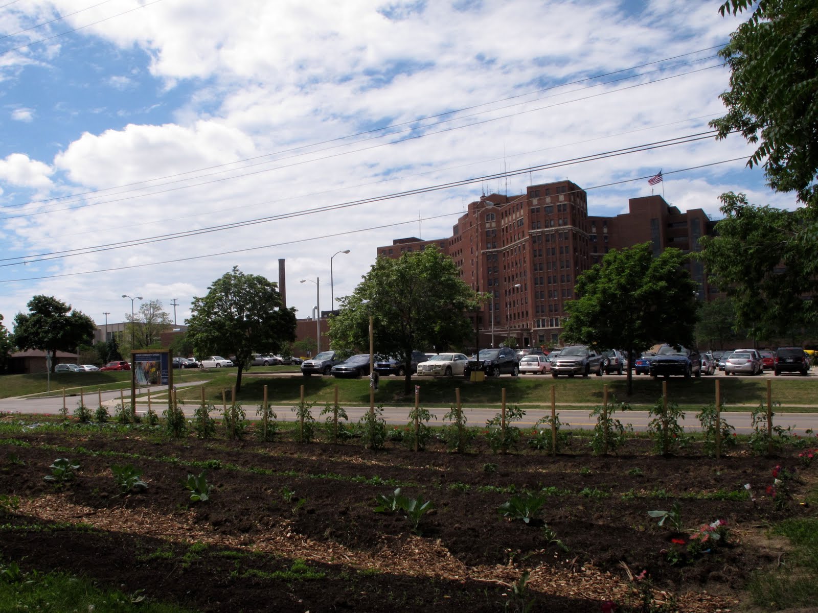 Flint Expatriates The Vistas of Flint