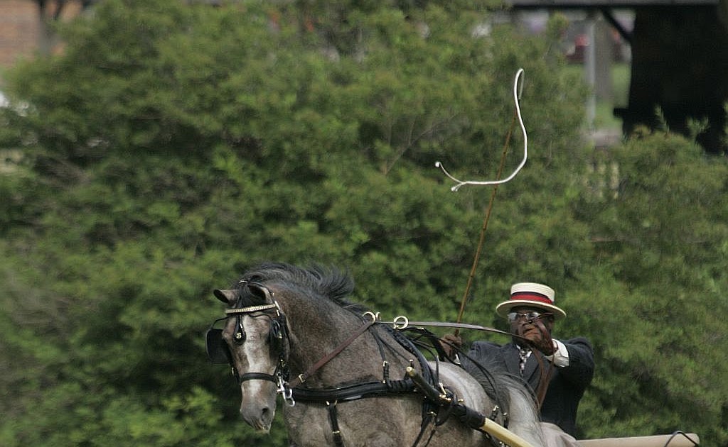 American Carriage Builder All Time Favorite Driving Photo