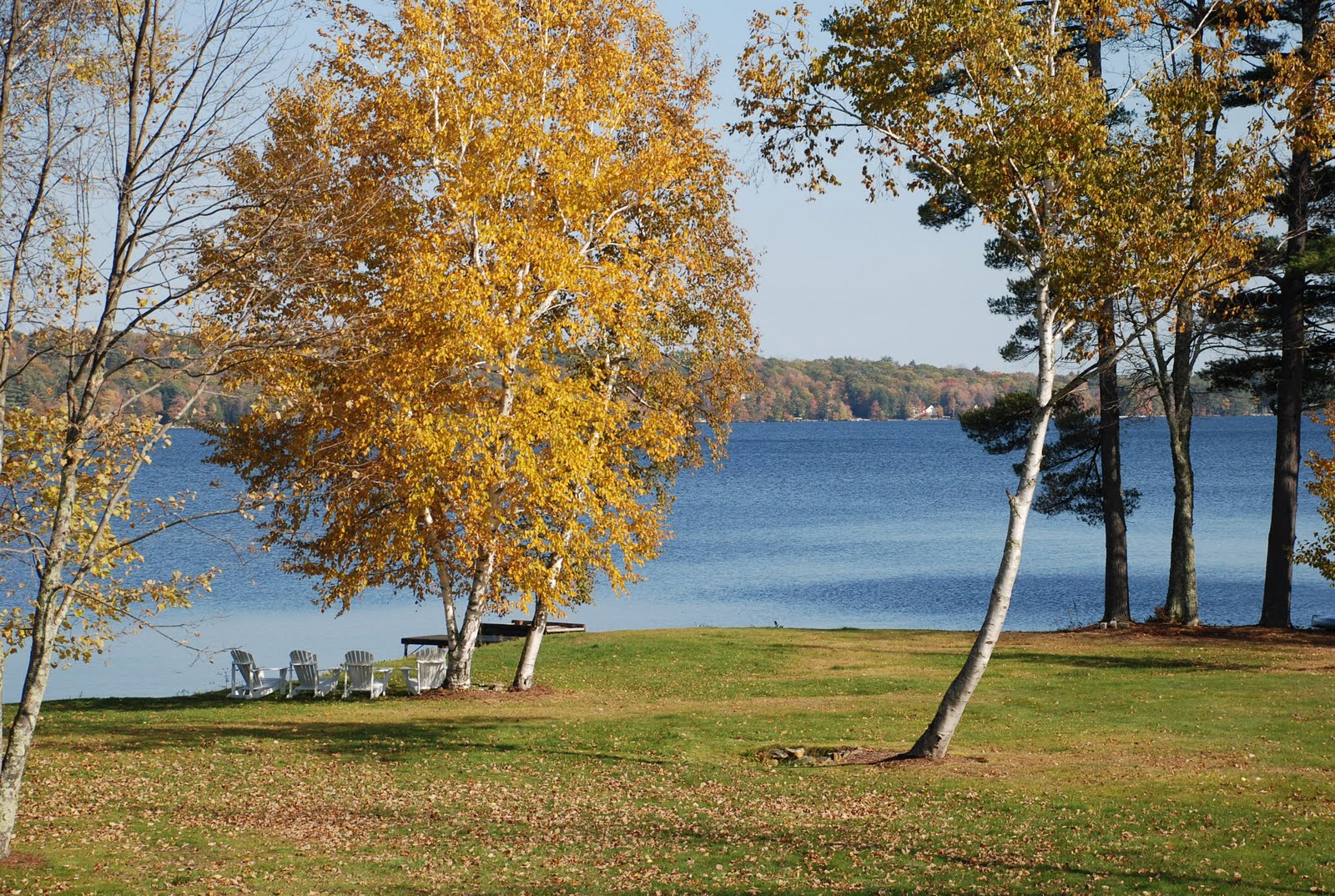 [DSC_0003.JPG]