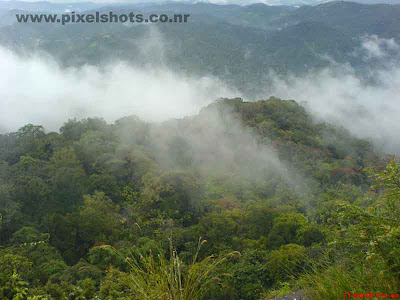 scenic photograph from munnar mountains,mist spreading over the dense forests in the munnar mountain valleys