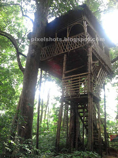 Eco tourism tree houses,Kerala Tree Houses for tourists in forests,Elevated tree house between forest trees,tree house made of bamboo ropes canes etc,bottom up view of tree house from kerala forests,Thatched tree houses of kerala standing like watch tower