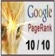 update-google-page-rank