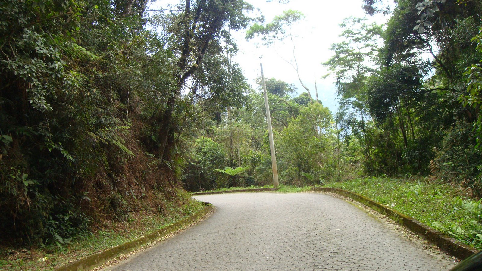 [DSC00232.JPG]