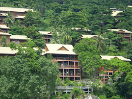 Houses amidst the trees