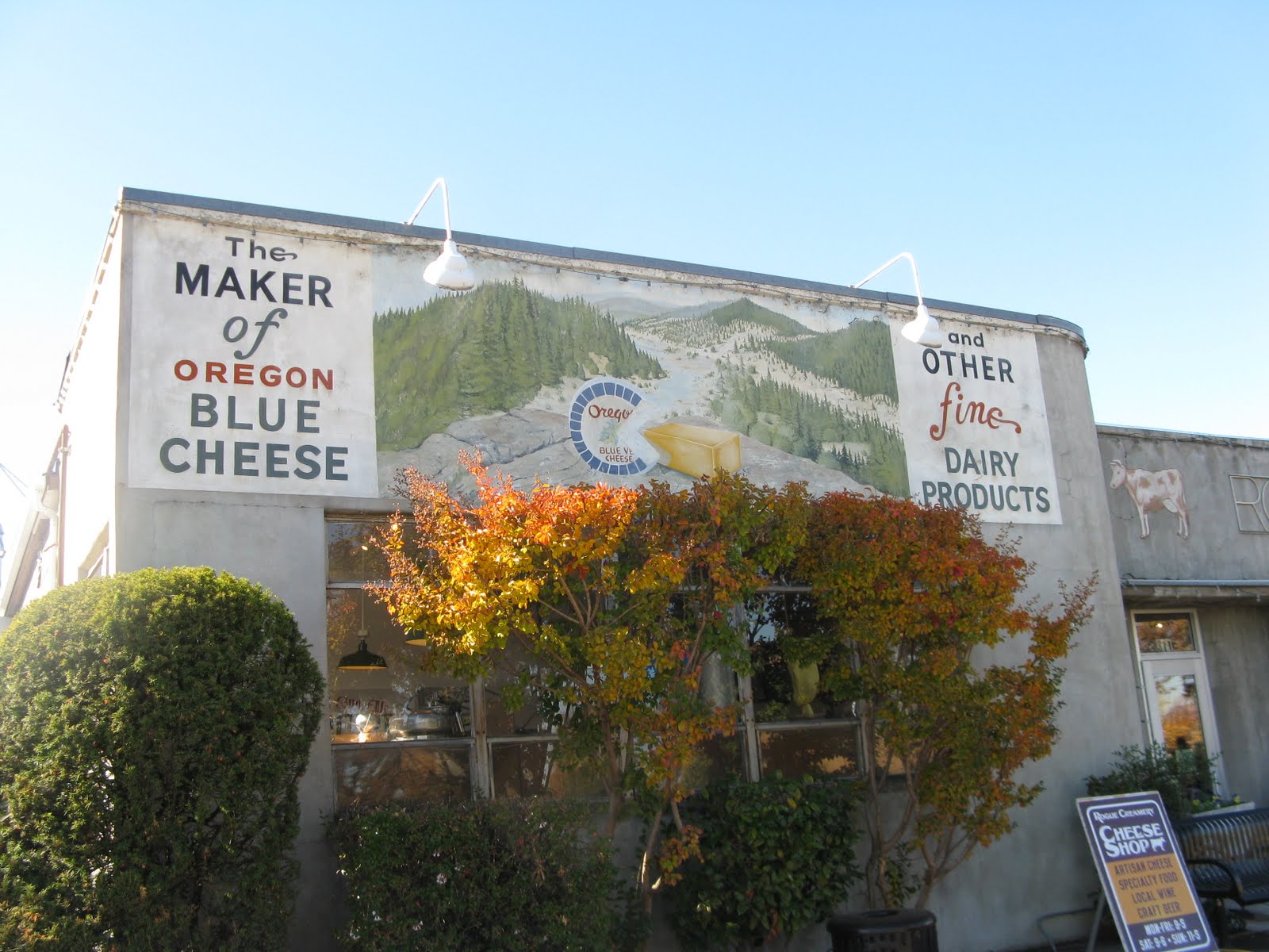 Tarra's Travels Ashford & Medford, Oregon