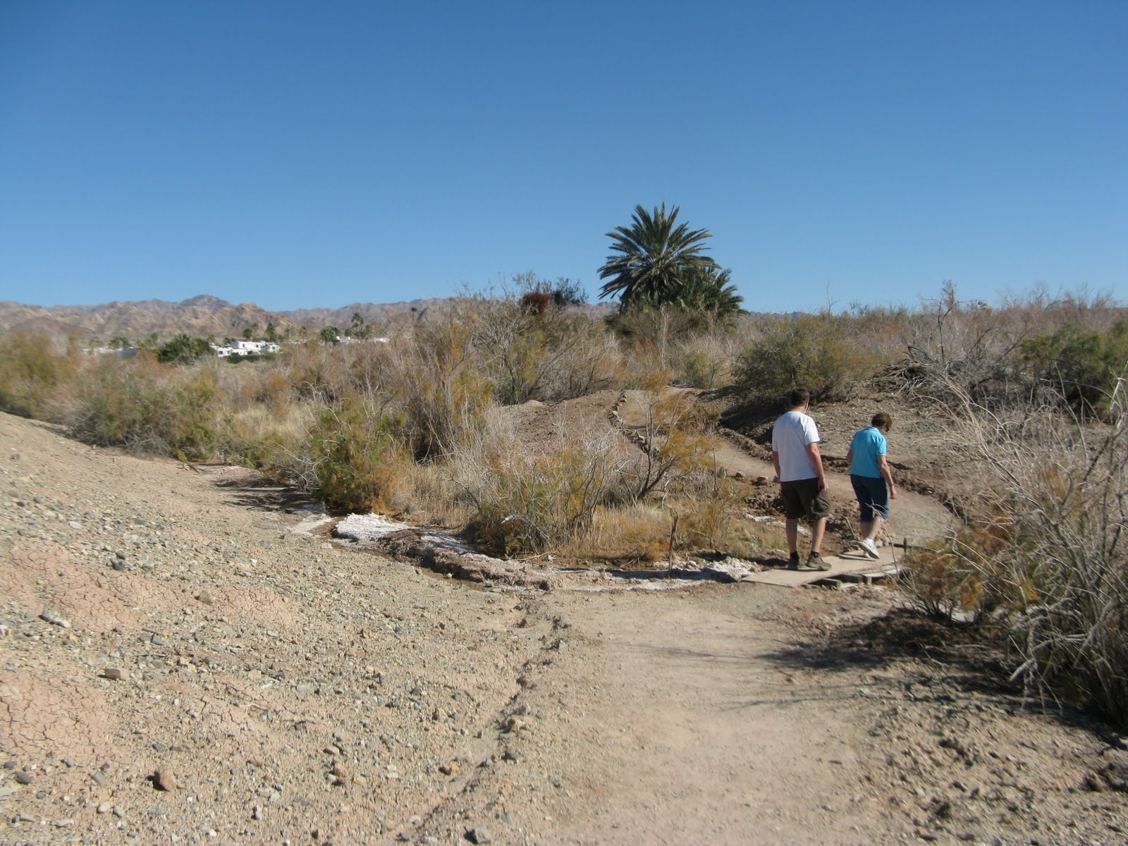 Salton Sea to Anza Borrego