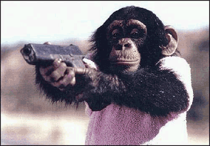 [Image: chimpanzee-glock.gif]