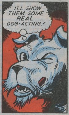 [robotman.jpg]